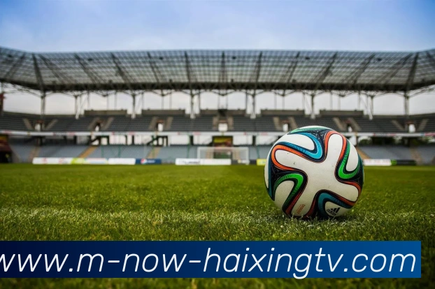 多媒体互动体验